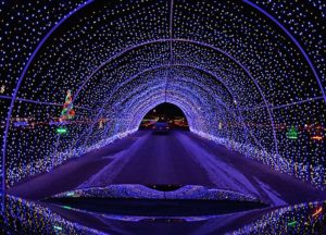 drive thru christmas lights