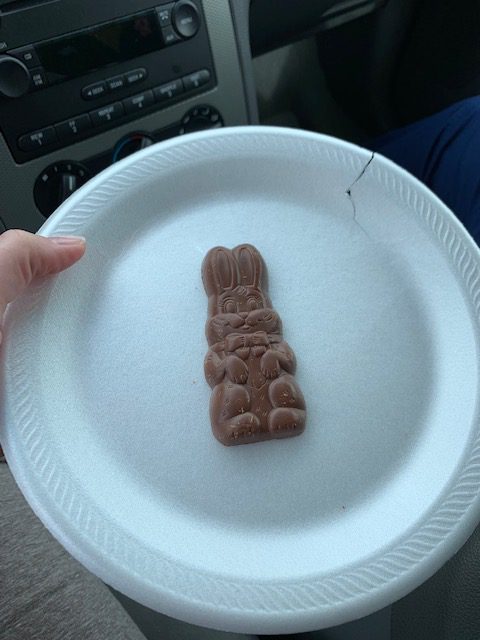 Solid bunny