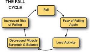 fall cycle