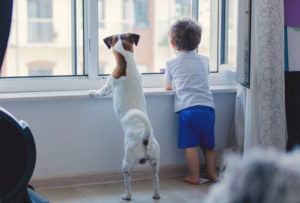 Little,Boy,And,Dog,Look,Out,The,Window